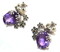 セール/碌山/【碌山】王子様カエルのアメジスト ピアス